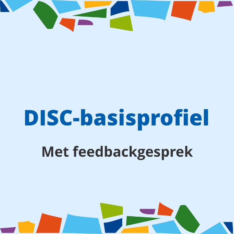 disc-basisprofiel met feedback encuentro