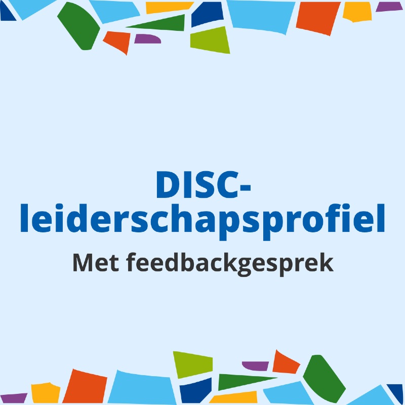 disc leiderschapsprofiel encuentro