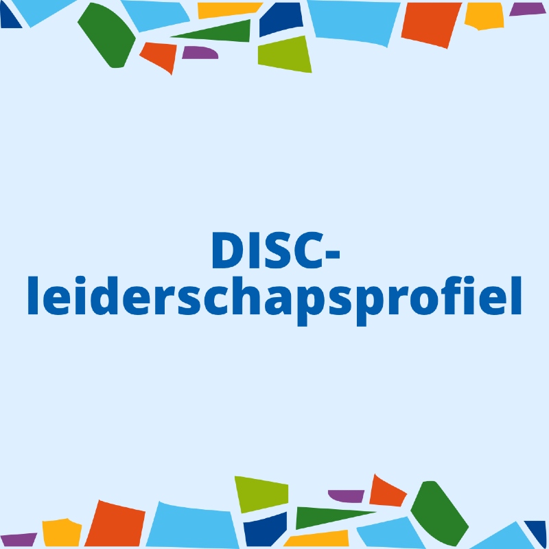 disc leiderschapsprofiel
