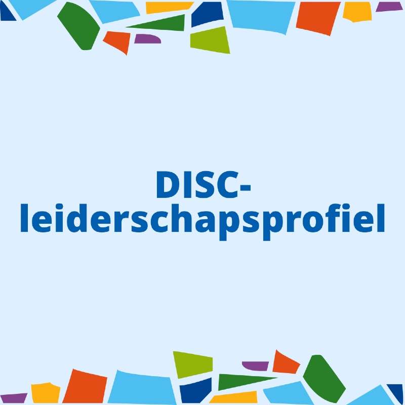 disc leiderschapsprofiel